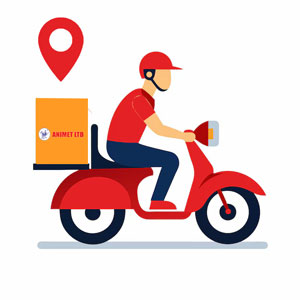 Delivery Services