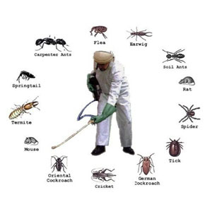 Pest Extermination Services